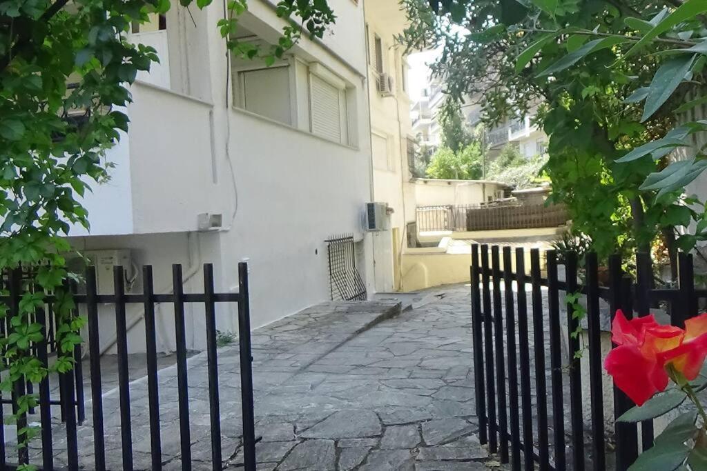 Forest Salonica * Салоники
